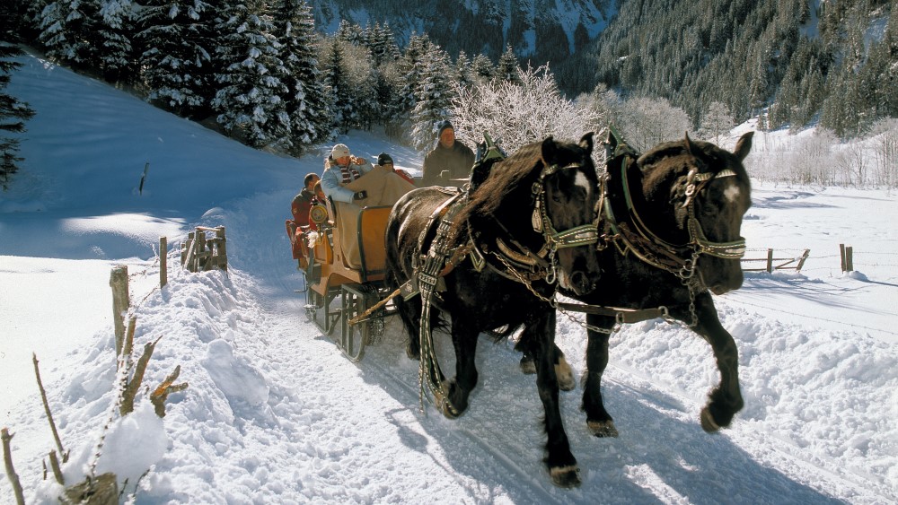 Paardesleetocht in Grossarl.